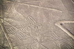 Удивительные геоглифы пустыни Наска: секрет современной науки на стыке тысячелетий